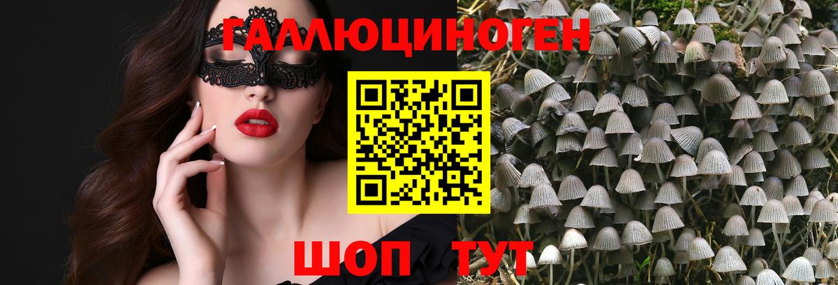 Галлюциногенные грибы ЛСД  Псилоцибиновые грибы MAGIC MUSHROOMS  Кувандык  Вход с VPN 